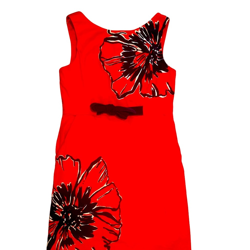 Lily Pulitzer Red Dress with blue floral print